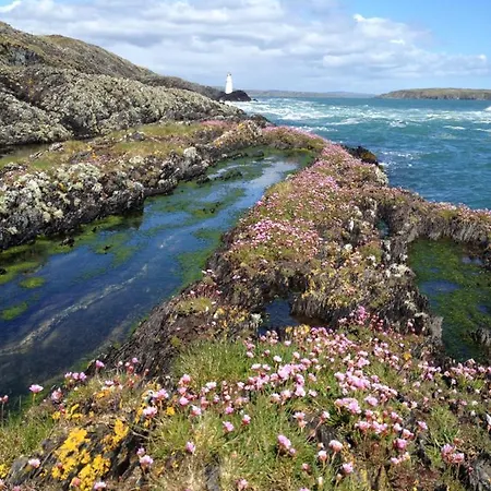 Castaway East - Long Island * Schull