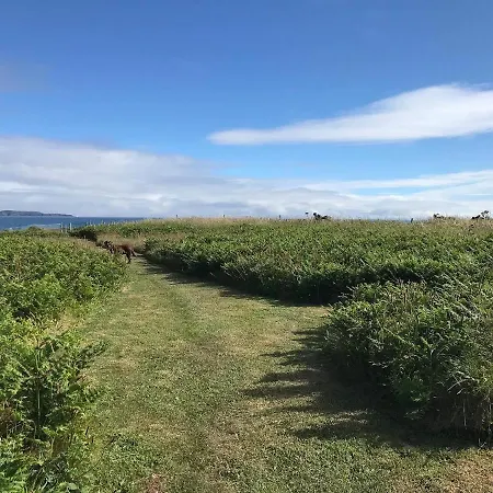 Castaway East - Long Island Schull
